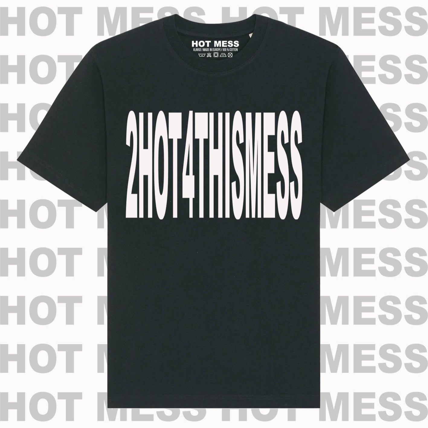 2HOT4THISMESS